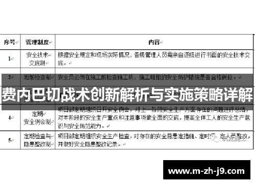 费内巴切战术创新解析与实施策略详解