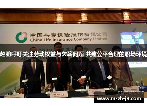 赵鹏呼吁关注劳动权益与欠薪问题 共建公平合理的职场环境