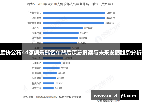 足协公布44家俱乐部名单背后深意解读与未来发展趋势分析 足协公布44家俱乐部名单背后深意解读与未来发展趋势分析