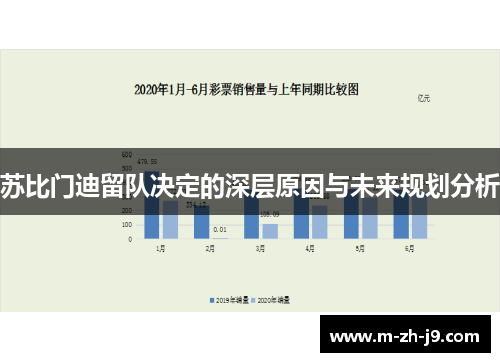 苏比门迪留队决定的深层原因与未来规划分析 苏比门迪留队决定的深层原因与未来规划分析