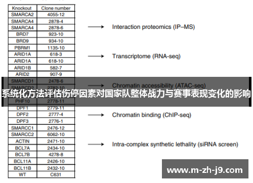 系统化方法评估伤停因素对国家队整体战力与赛事表现变化的影响 系统化方法评估伤停因素对国家队整体战力与赛事表现变化的影响