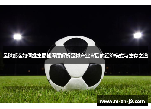 足球部落如何维生揭秘深度解析足球产业背后的经济模式与生存之道 足球部落如何维生揭秘深度解析足球产业背后的经济模式与生存之道